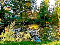 15.10.2017 Album  Der Dorfteich im Bad Harzburger Stadtteil Schlewecke, der sich in herbstlichen Farben präsentiert